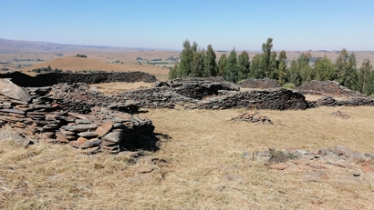 m_IMG_20210411_092642