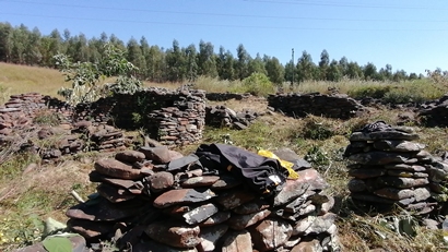 m_IMG_20210411_100712