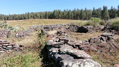 m_IMG_20210411_100935